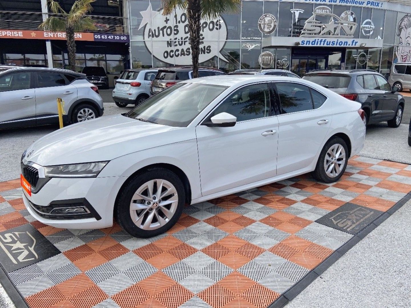 SKODA OCTAVIA - 2.0 TDI 115 BV6 SELECTION CAMÉRA JA 17" (2023)